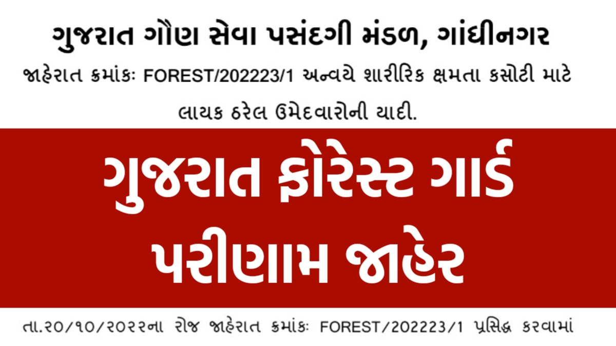 Gujarat forest guard result 2024 GSSSB Forest Guard Exam Result Declared 2024